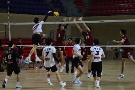 中足联和英超联合举办青训交流会，三家英超劲旅代表出席